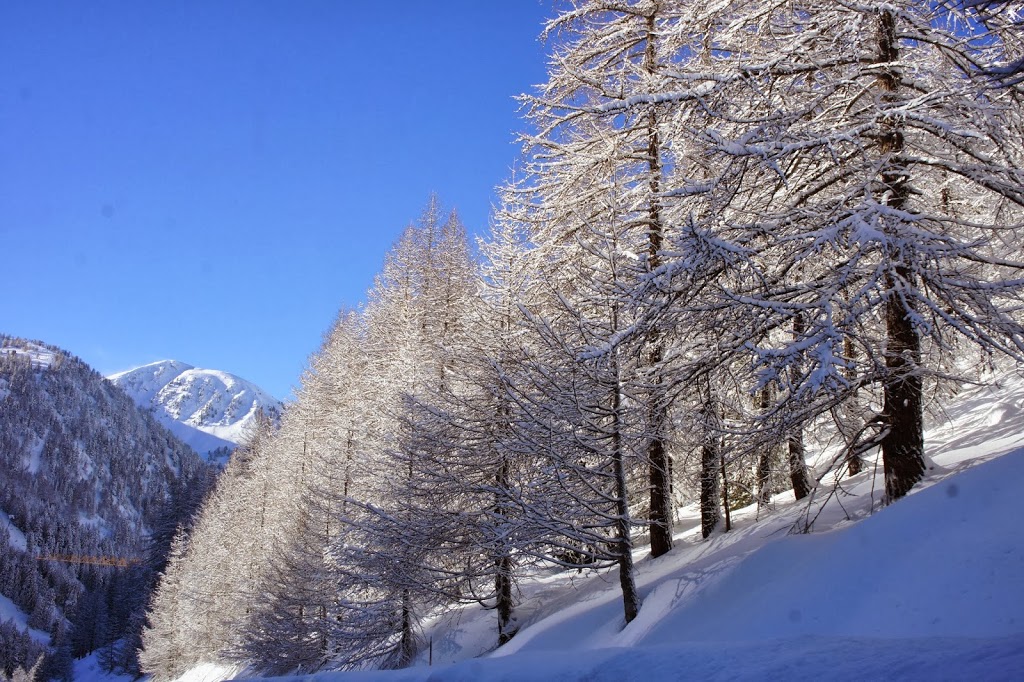 A la neige
