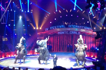 festival-international-cirque-monte-carlo-piste-elephant-monaco