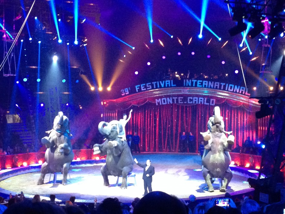 festival-international-cirque-monte-carlo-piste-elephant-monaco