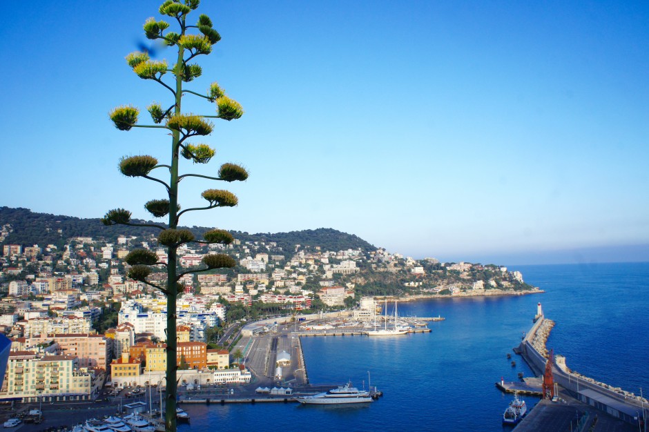 decouvrir-nice-segway-colline-chateau