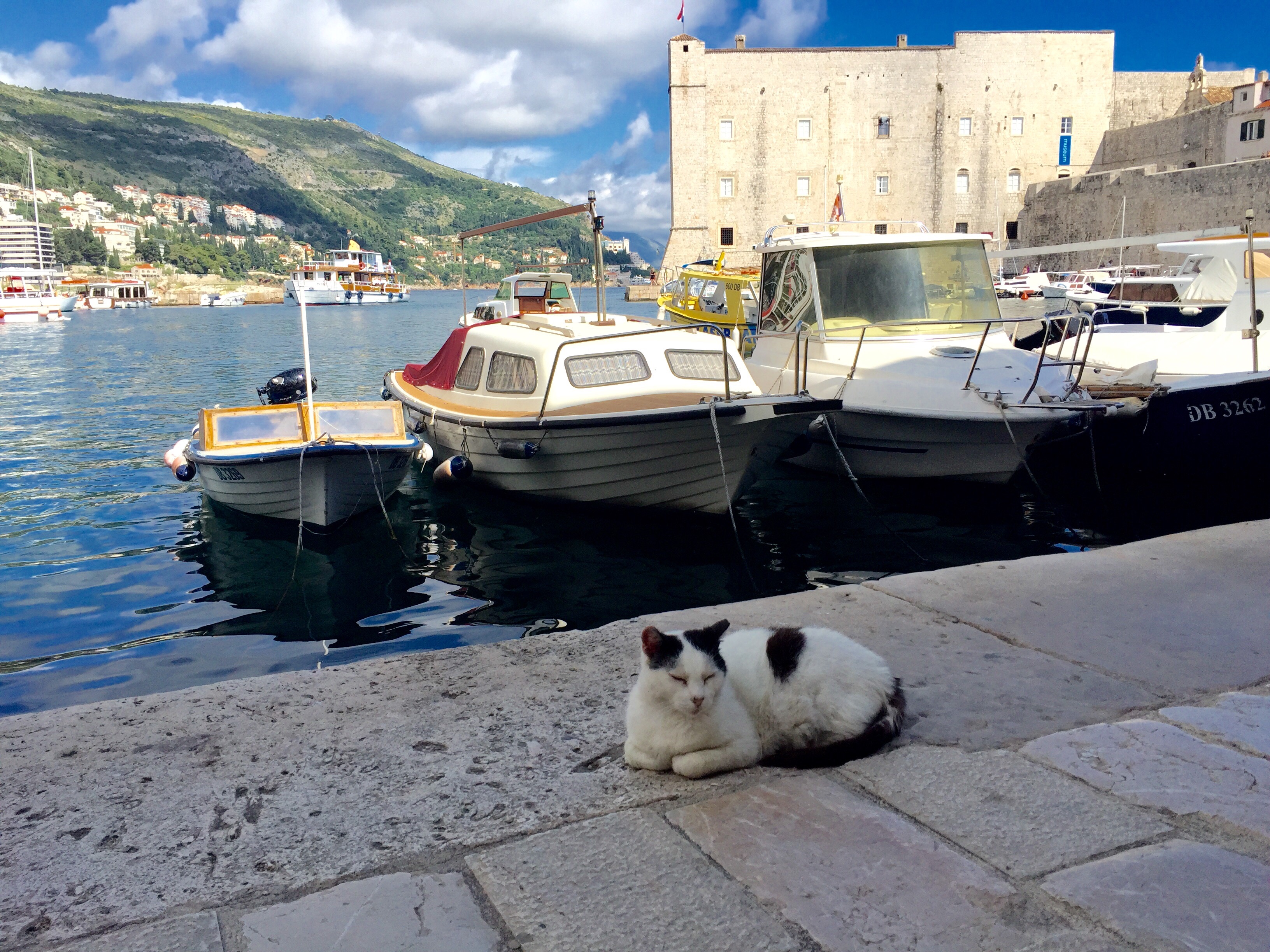 5-choses-a-faire-a-dubrovnik