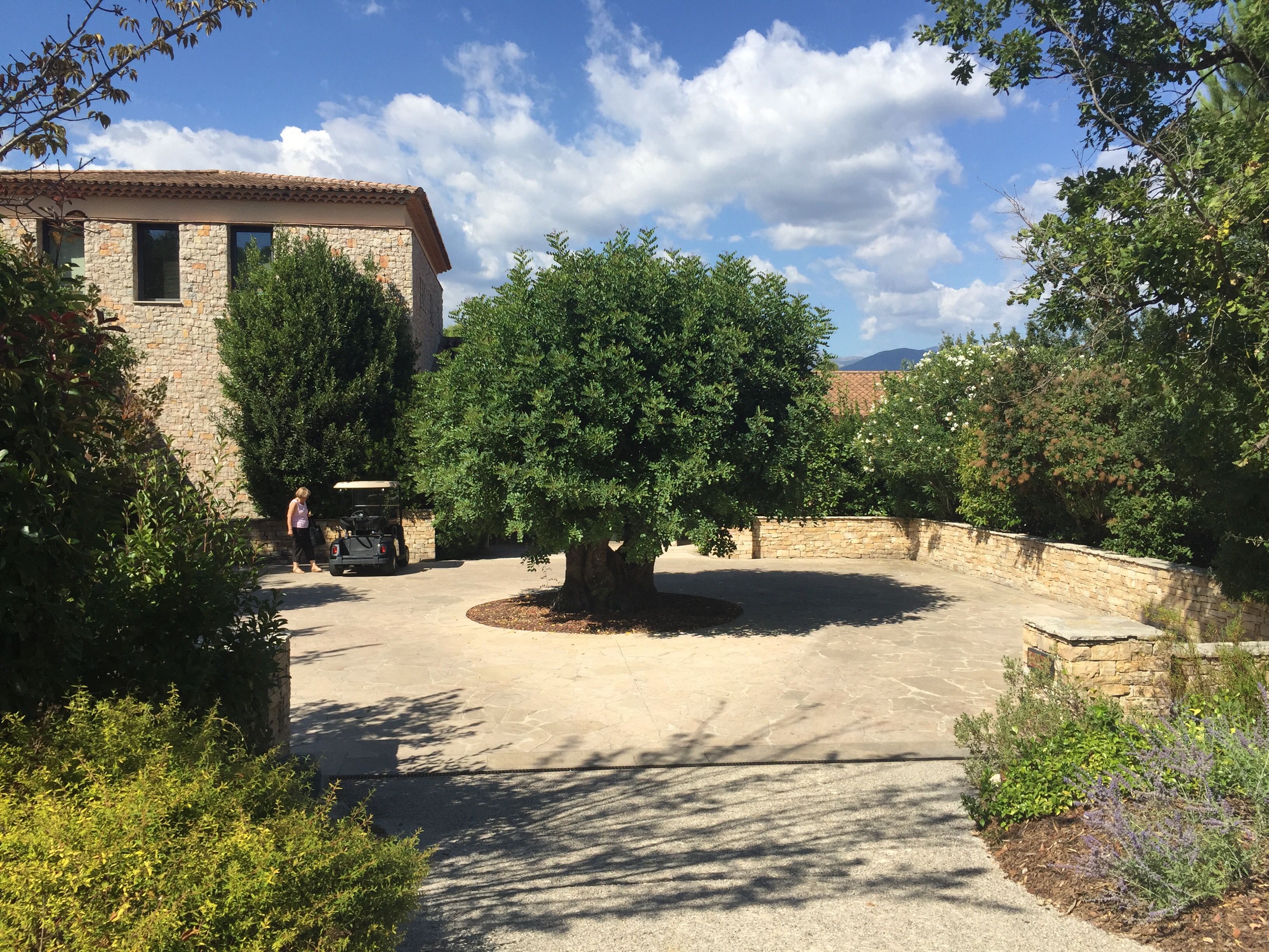 Terre-blanche-resort