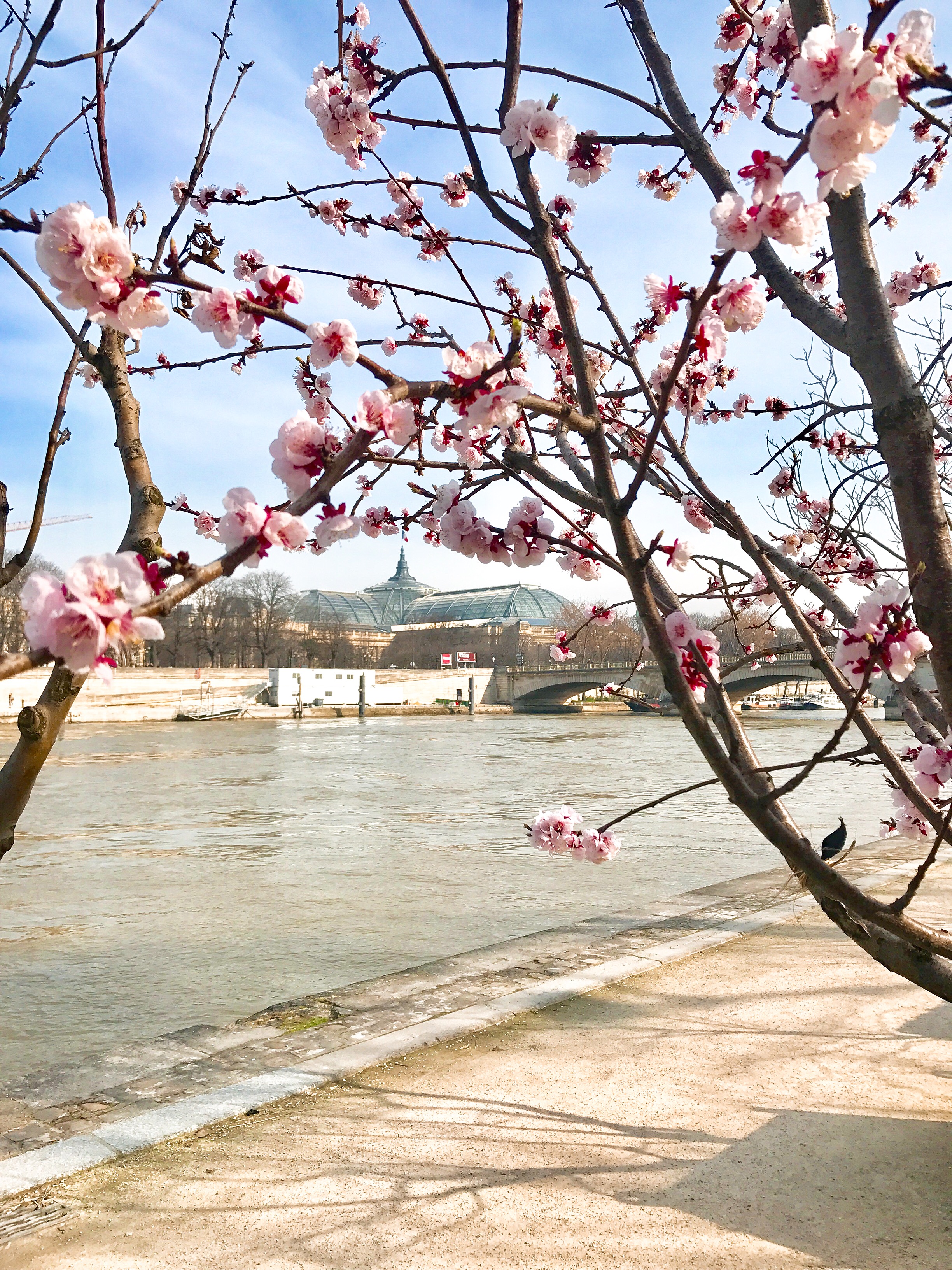 Balade sur les quais